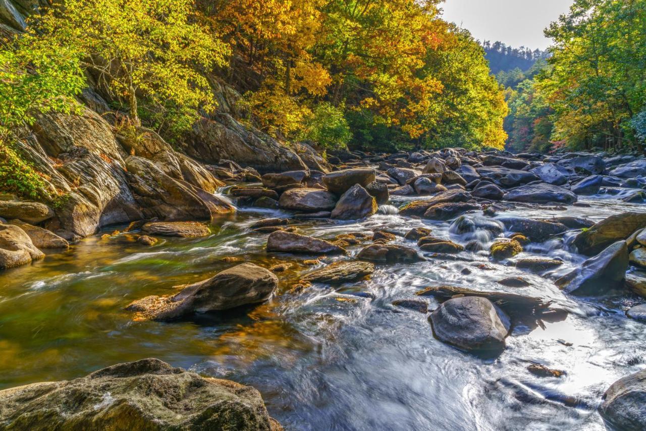 Lazy Cub Lodge Pigeon Forge Luaran gambar